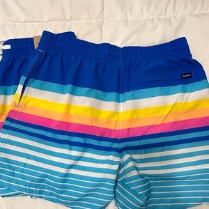 Chubbies Men’s swim trunks 5.5in seam